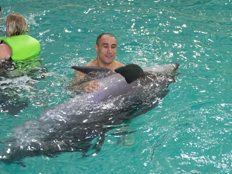 swimming with dolphins in Dubai Dolphinarium