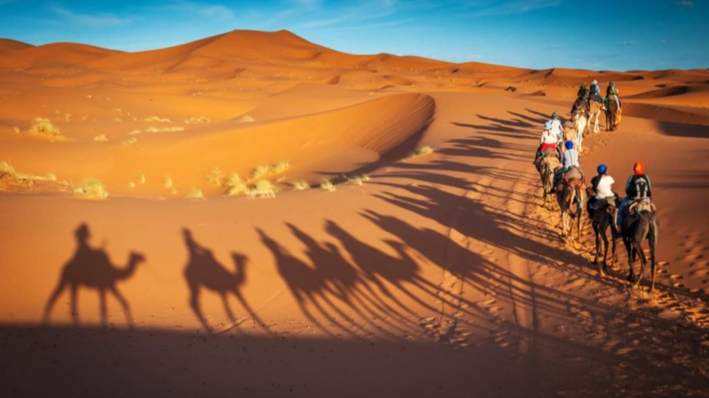 After camel riding, you will have a chance to experience desert safari Dubai sandboarding.