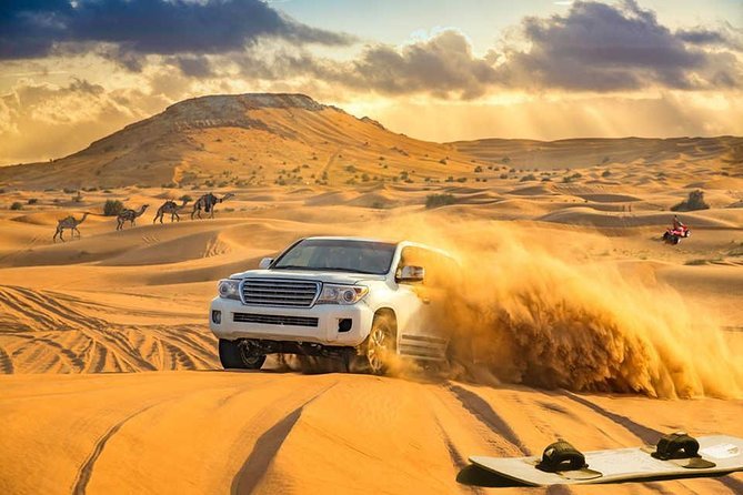 The evening desert safari is great if you want to get up close with Dubai and the best it has to offer.