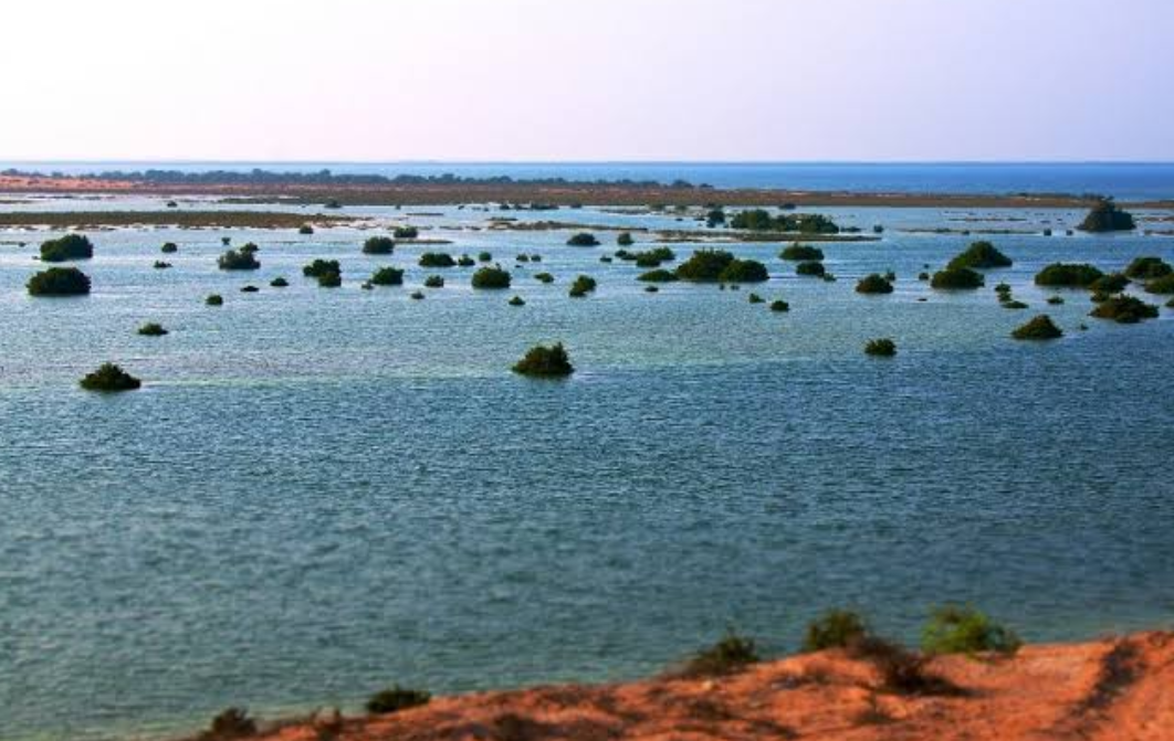 places to visit in umm al quwain for free
