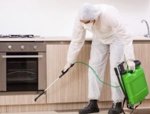 pest control and cleaning services in Dubai.