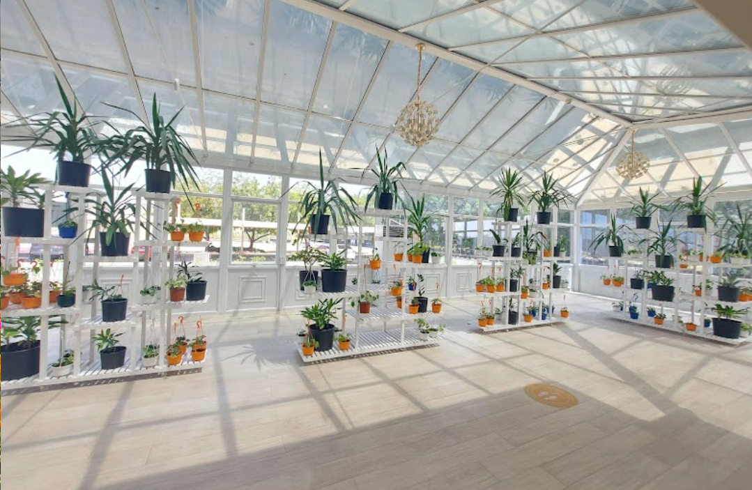 cheapest plant nursery in Dubai