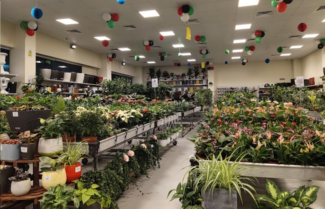 plant nursery in Dubai Warsan