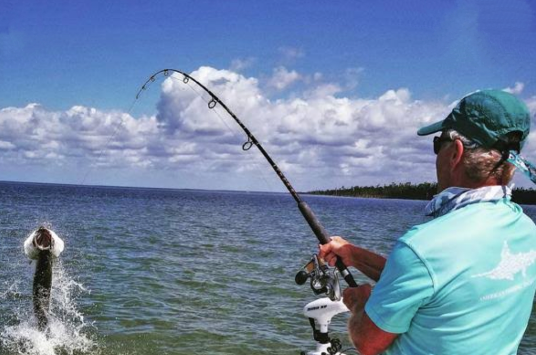 Fishing in Abu Dhabi